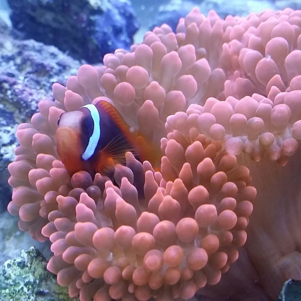 Meet your Posher, Eric